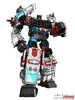 g2.jpg