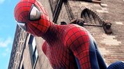 spider4.jpg
