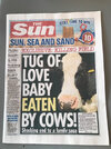 sandman news.jpeg