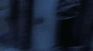 the-rules-saw.gif