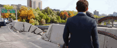 IMG_2395.gif