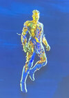IMG_0536.jpeg