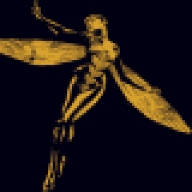 agent-van.dyne